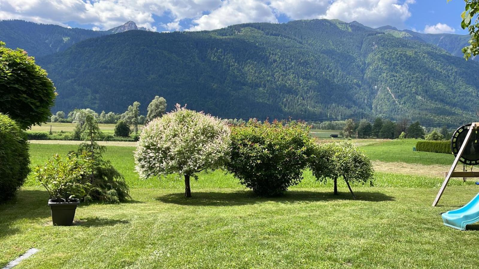 Mountainview Scheurer Jenig